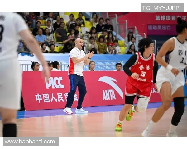 运动最新数据成都篮球队的奋斗历程与荣耀时刻全景纪实